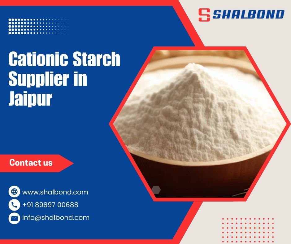 Cationic Starch Supplier in Jaipur